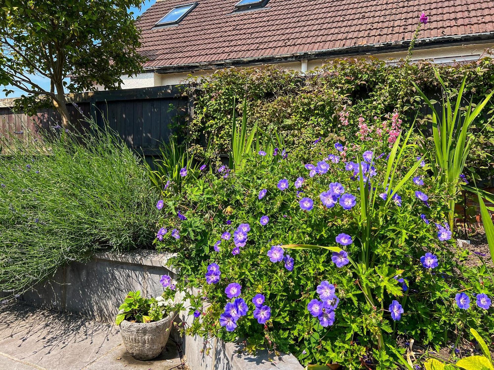 Cwtch Cottage Cardiff Eksteriør bilde